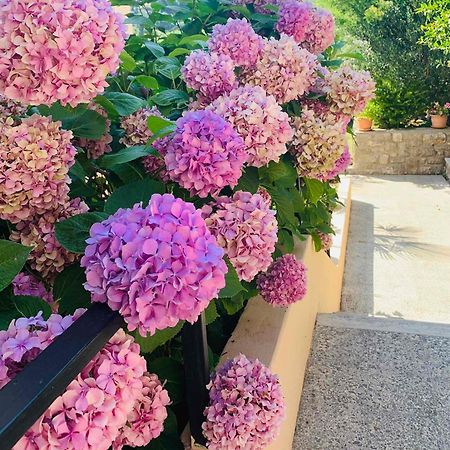 Apartman Riva Mošćenička Draga Exteriér fotografie