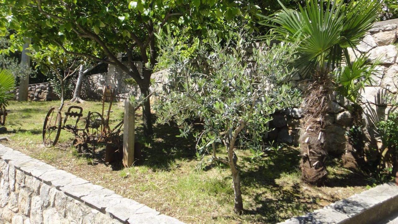 Apartman Riva Mošćenička Draga Exteriér fotografie