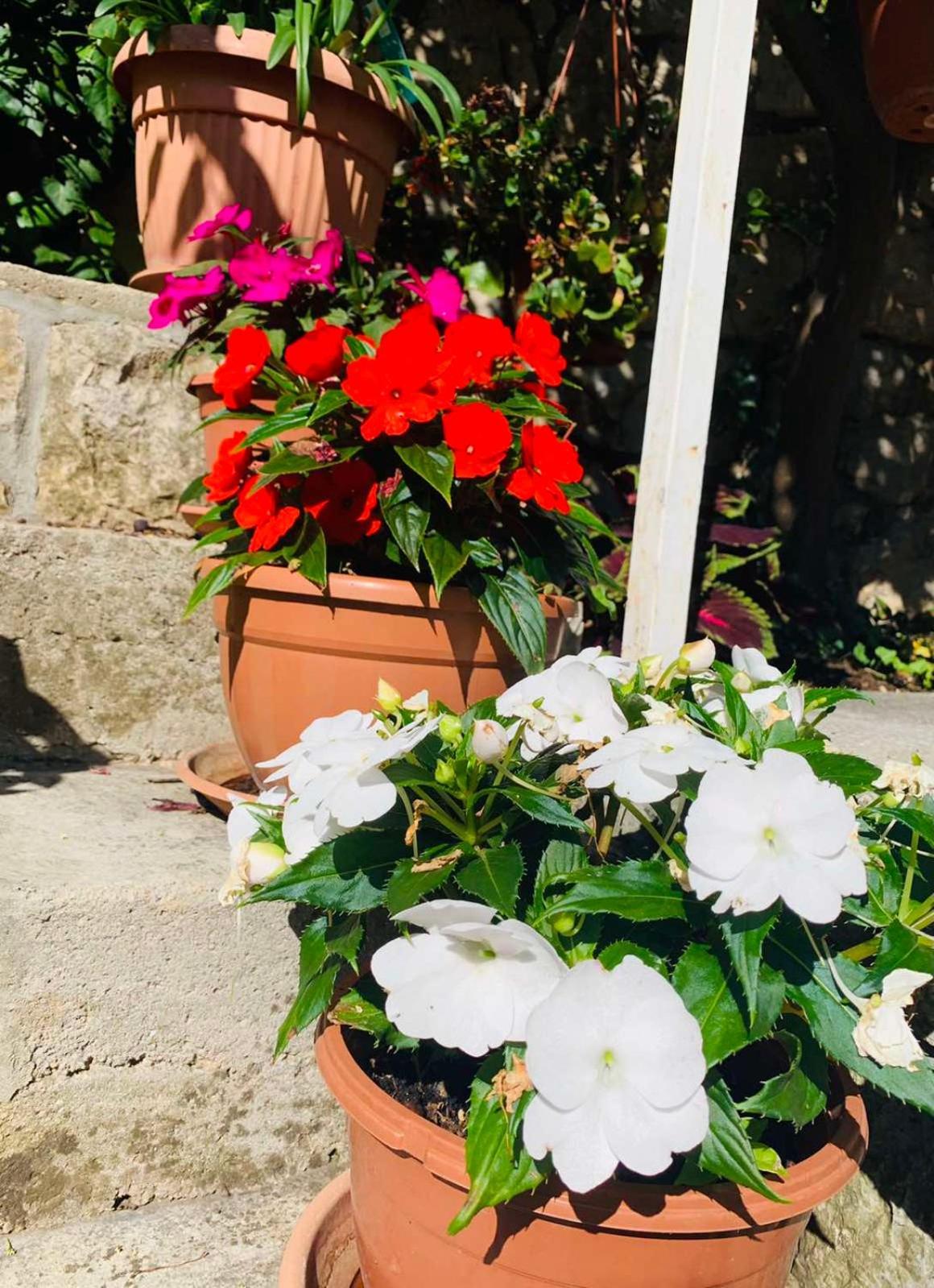 Apartman Riva Mošćenička Draga Exteriér fotografie