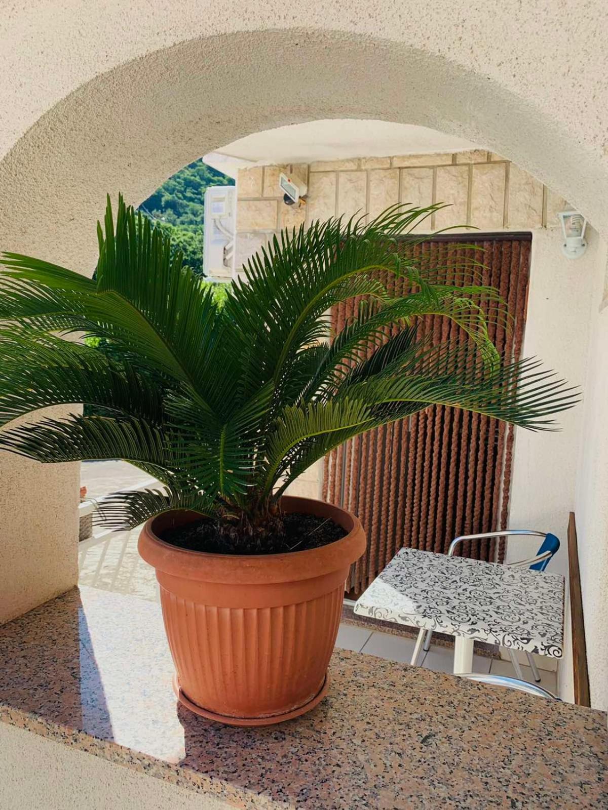 Apartman Riva Mošćenička Draga Exteriér fotografie