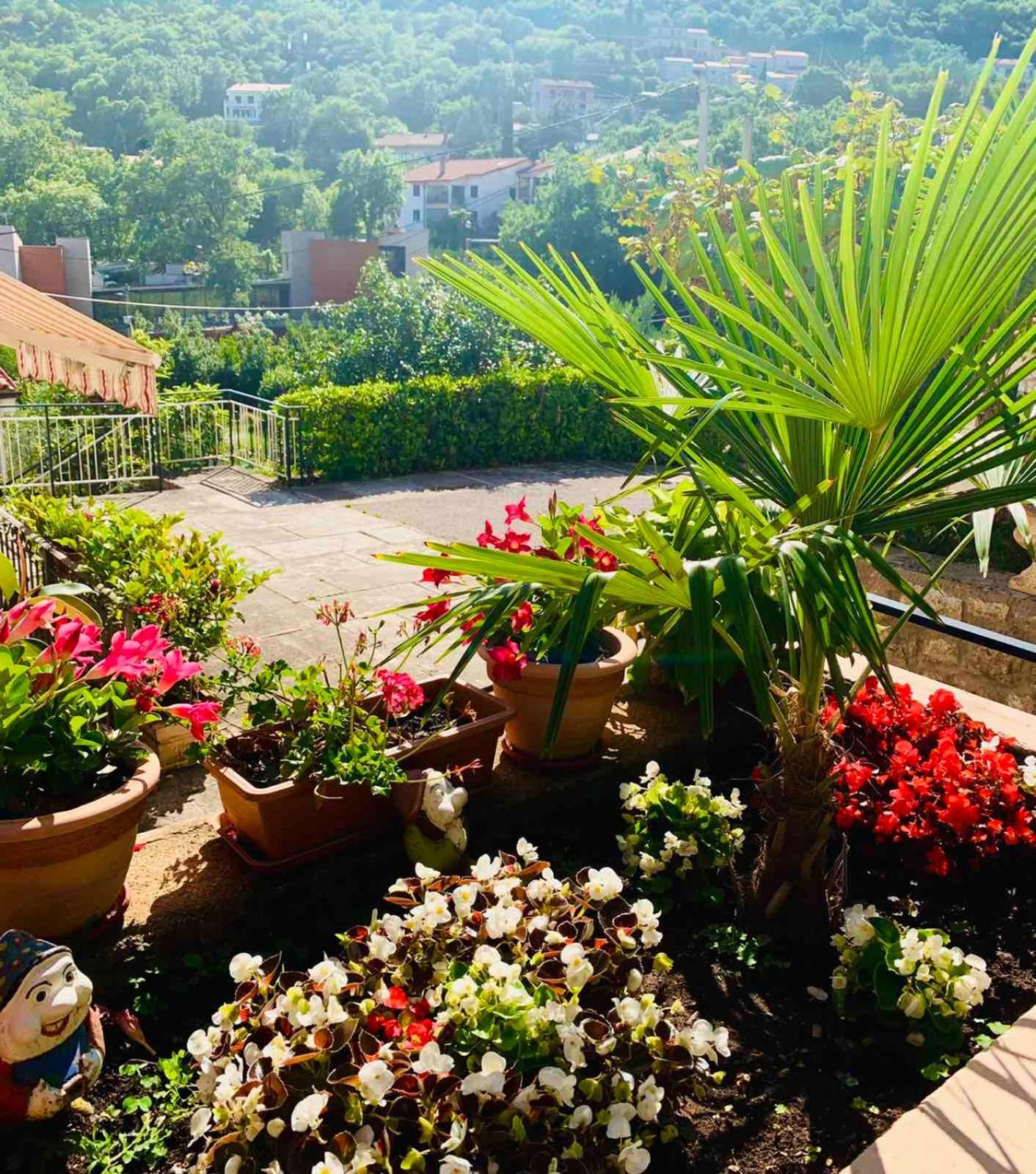 Apartman Riva Mošćenička Draga Exteriér fotografie