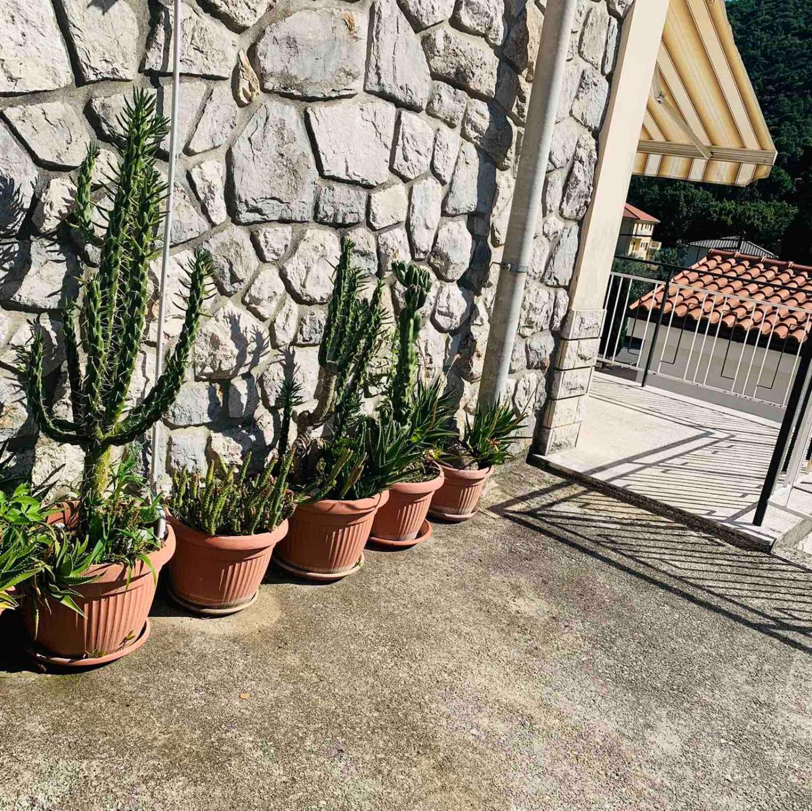 Apartman Riva Mošćenička Draga Exteriér fotografie